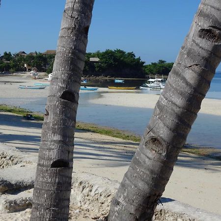 The Shark'S Tail Dive Center Hotel Daanbantayan Exterior foto