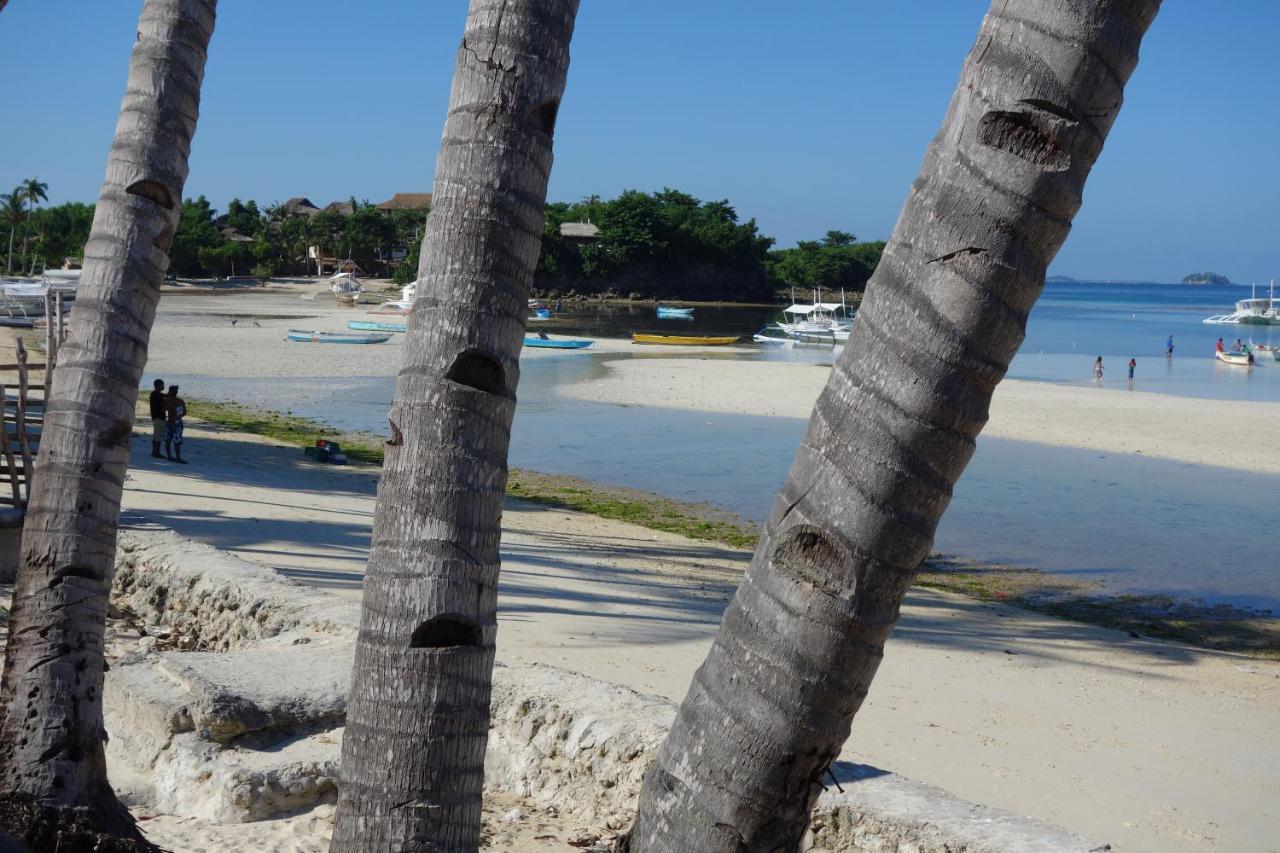 The Shark'S Tail Dive Center Hotel Daanbantayan Exterior foto