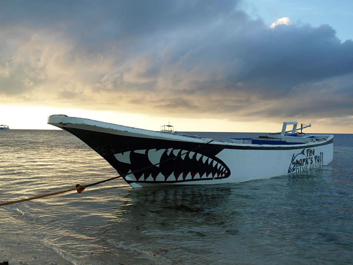 The Shark'S Tail Dive Center Hotel Daanbantayan Exterior foto