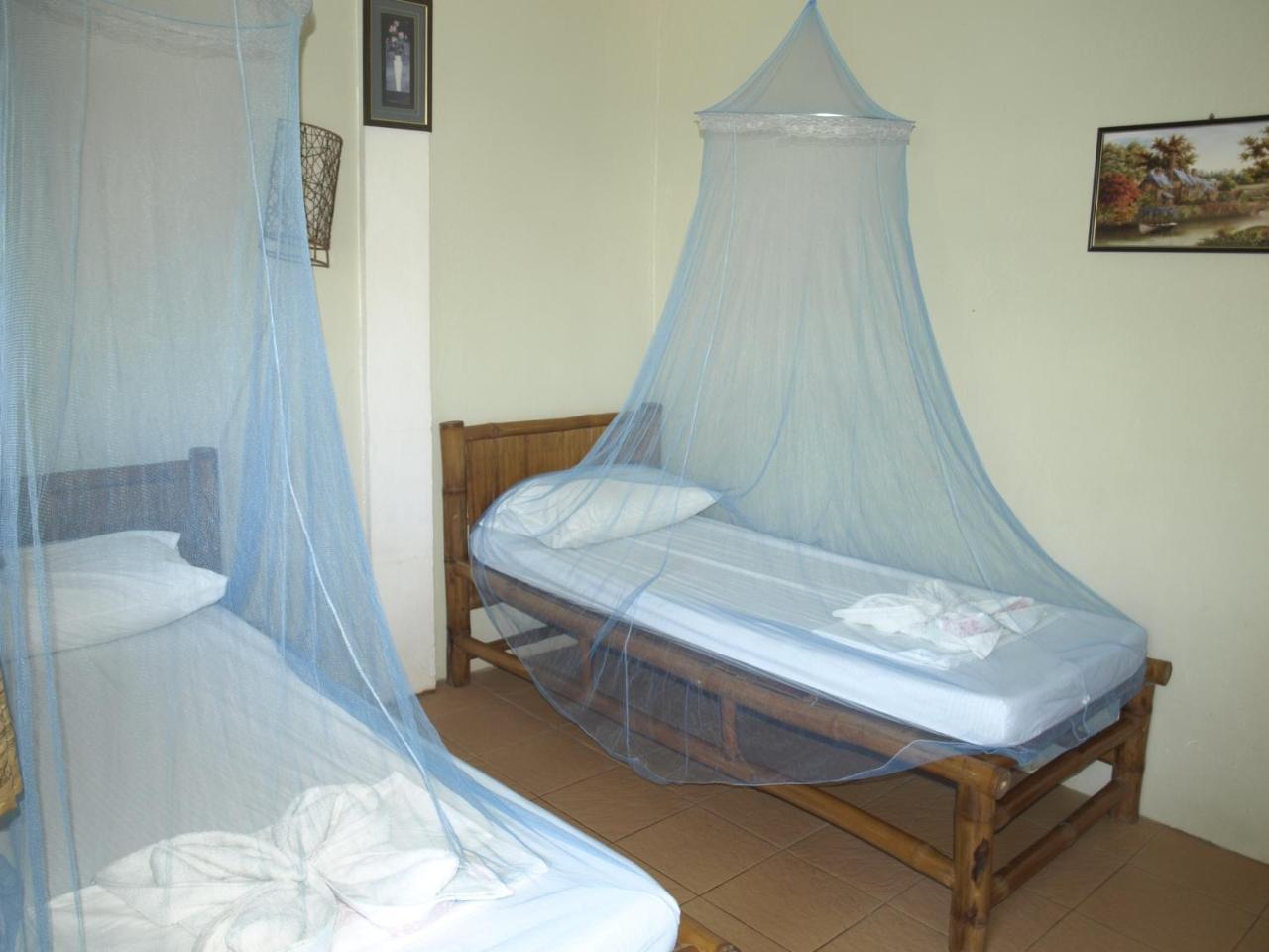The Shark'S Tail Dive Center Hotel Daanbantayan Exterior foto